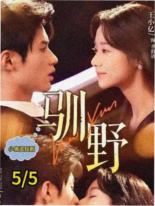 代码情人 爱情科幻韩剧海报